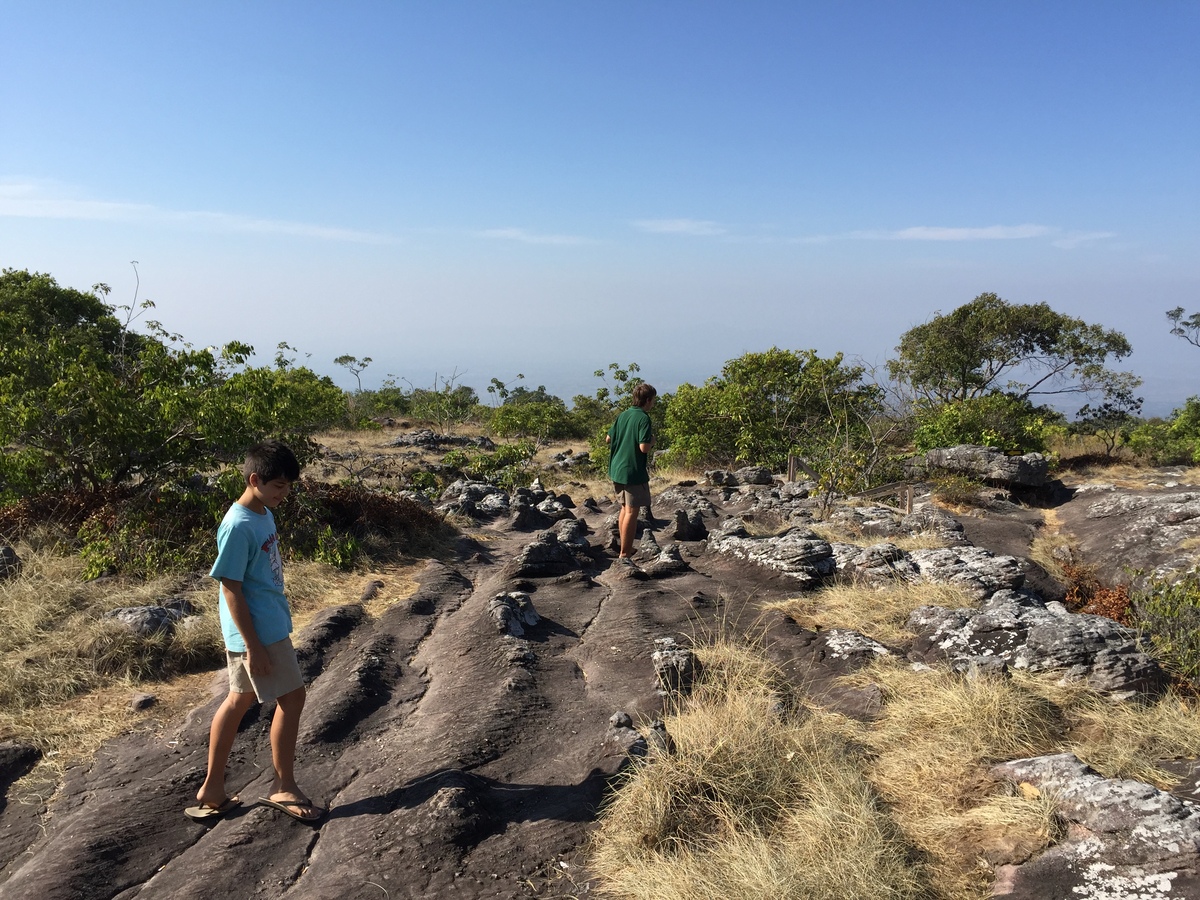 รูปถ่าย ไทย(Thailand) อุทยานแห่งชาติภูหินร่องกล้า(Phu Hin Rong Kla National Park) 2014-12 167