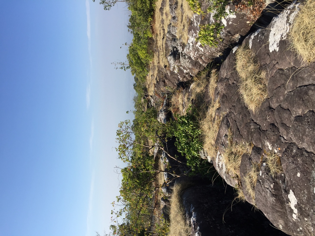 รูปถ่าย ไทย(Thailand) อุทยานแห่งชาติภูหินร่องกล้า(Phu Hin Rong Kla National Park) 2014-12 186