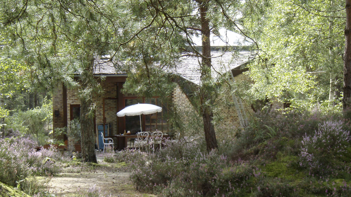 รูปถ่าย ฝรั่งเศส(France) ฟงเทนโบล(Fontainebleau) ทัวร์ป่า(Circuit des 25 bosses) 2007-08 148