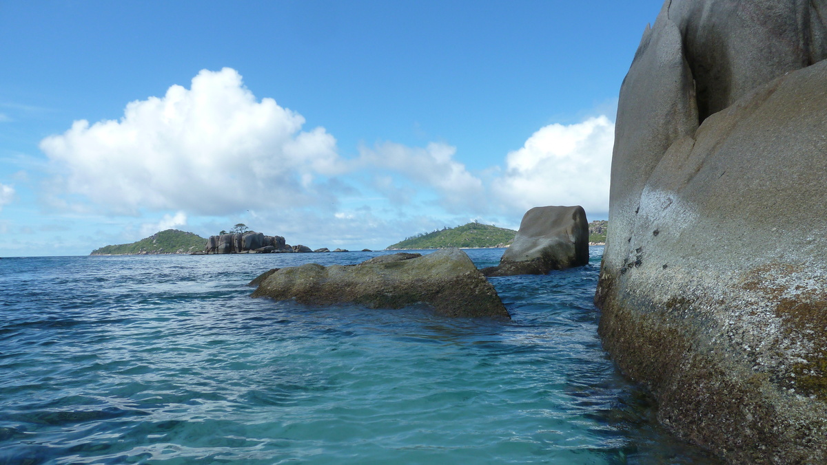 รูปถ่าย เซเชลส์(Seychelles) เกาะโกโก้(Coco Island) 2011-10 81