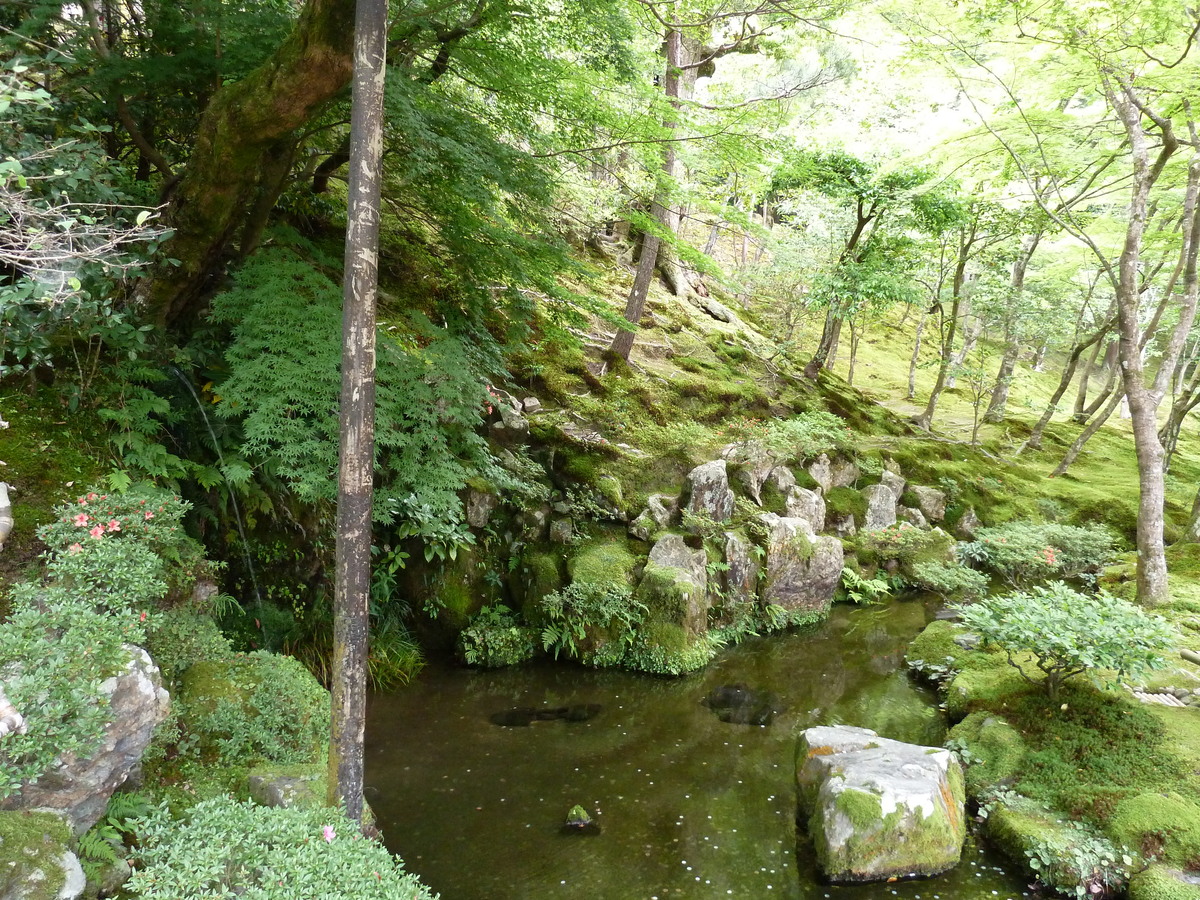 รูปถ่าย ญี่ปุ่น(Japan) เกียวโต(Kyoto) วัดกินกะกุจิ (ศาลาเงิน)(Ginkakuji Temple(Silver Pavilion)) 2010-06 22