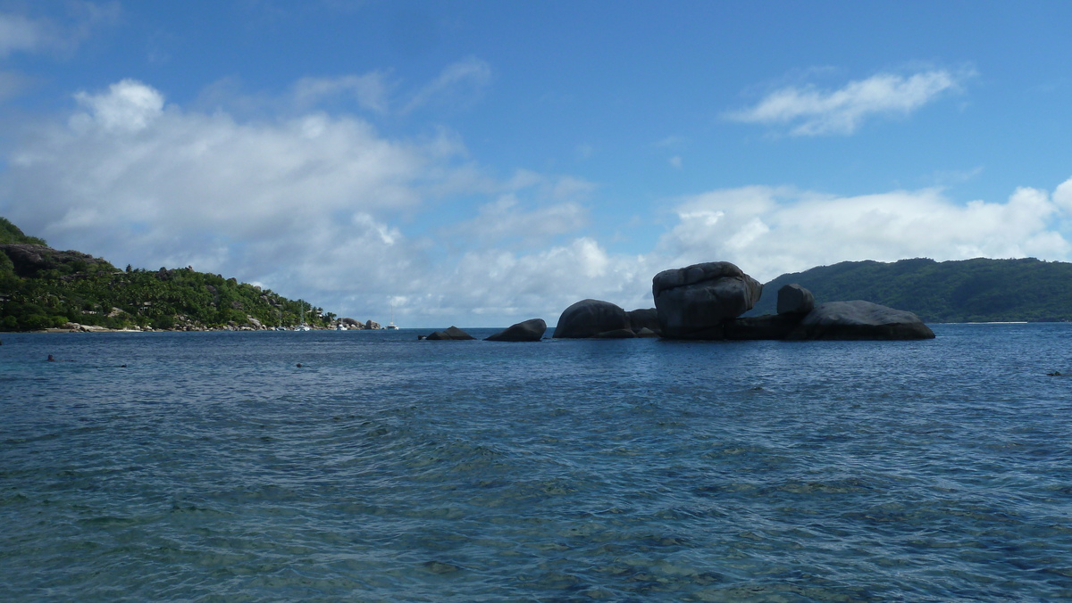 รูปถ่าย เซเชลส์(Seychelles) เกาะโกโก้(Coco Island) 2011-10 63