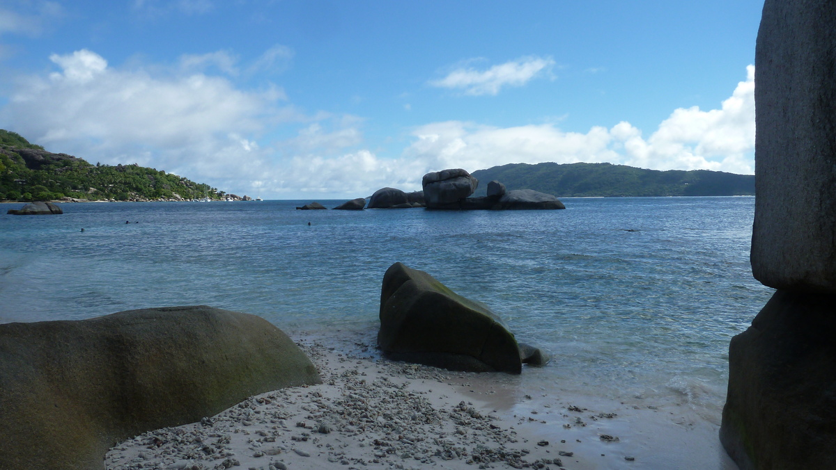รูปถ่าย เซเชลส์(Seychelles) เกาะโกโก้(Coco Island) 2011-10 61