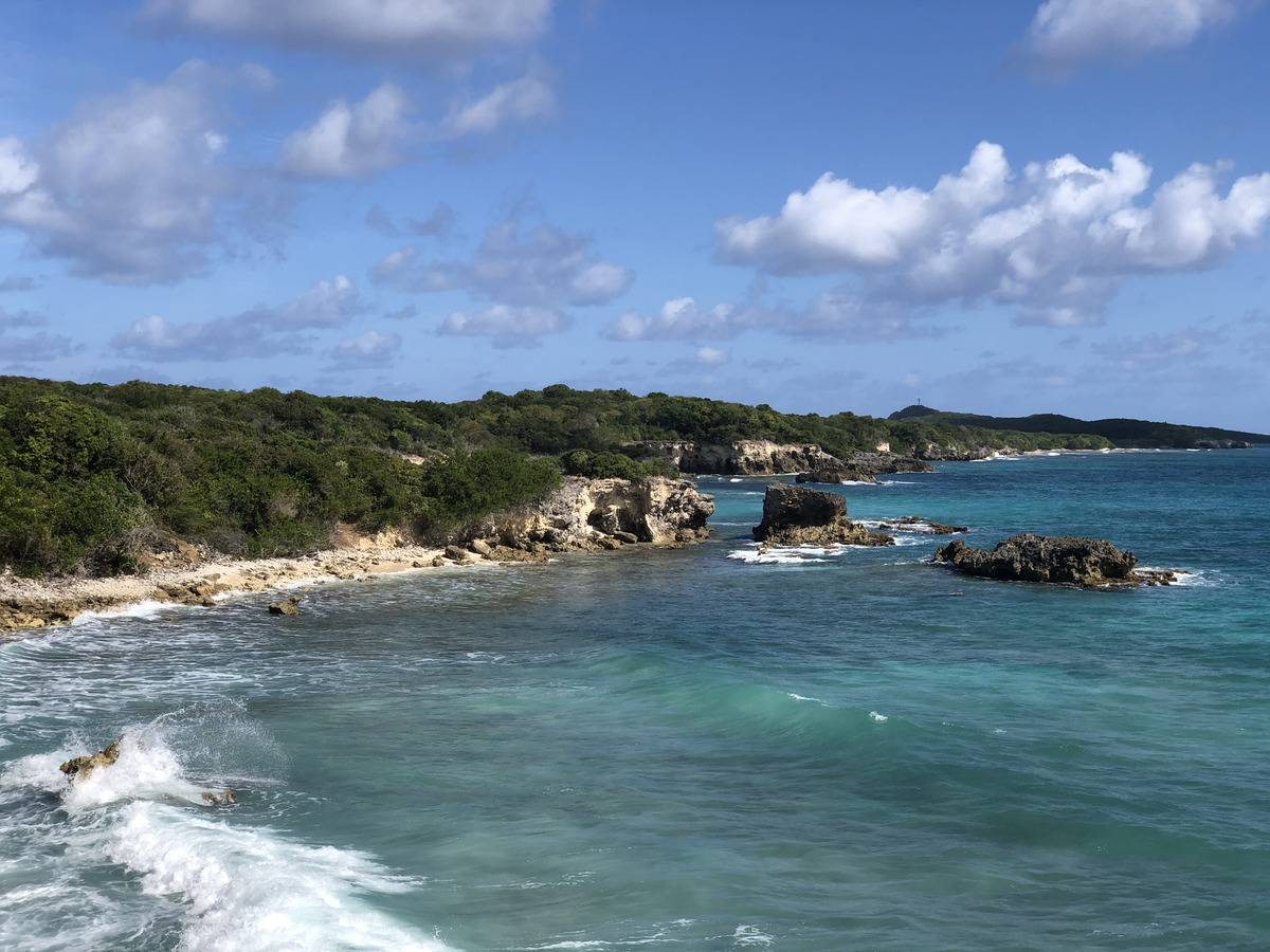 รูปถ่าย กวาเดอลูป(Guadeloupe) แซ็งฟร็องซัว(Saint Francois) 2021-02 33