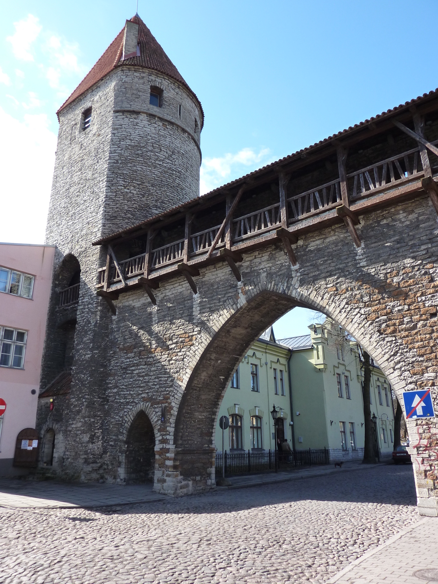 รูปถ่าย เอสโตเนีย(Estonia) ทาลลินน์(Tallinn) 2009-04 90