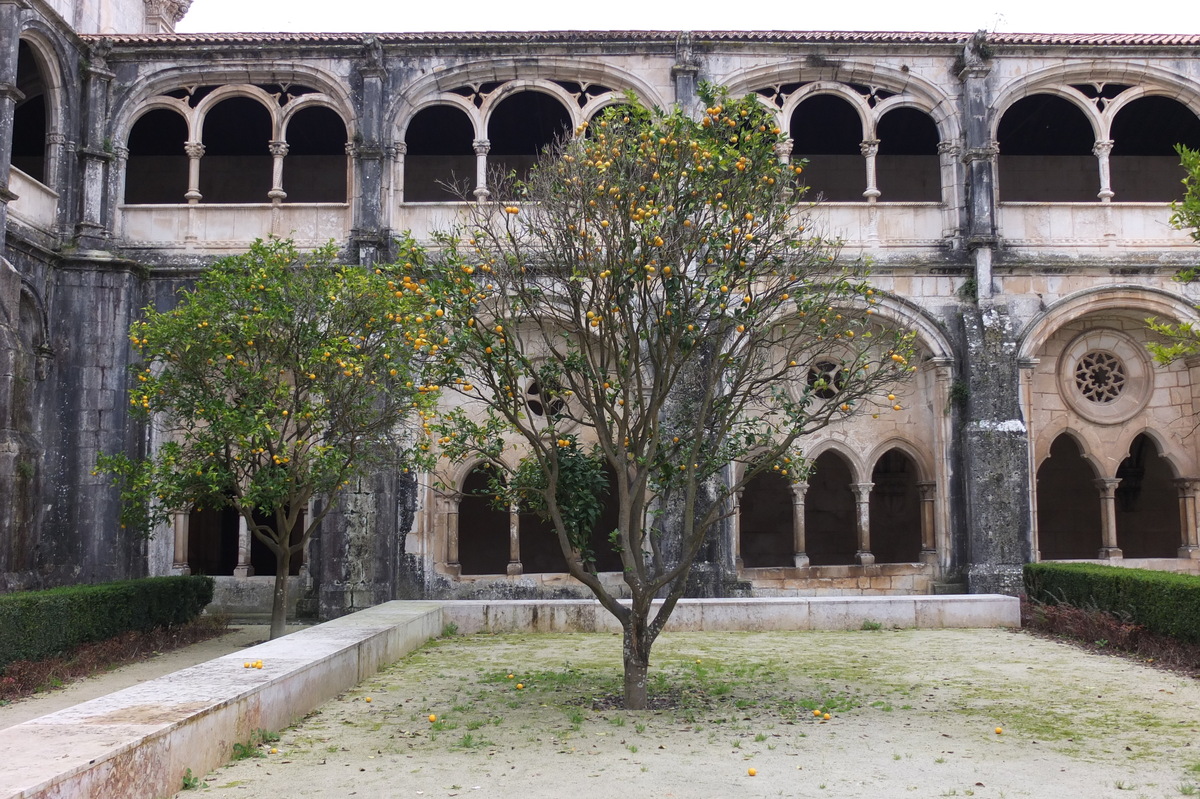 รูปถ่าย โปรตุเกส(Portugal) อัลโกบาซา(Alcobaca) 2013-01 51