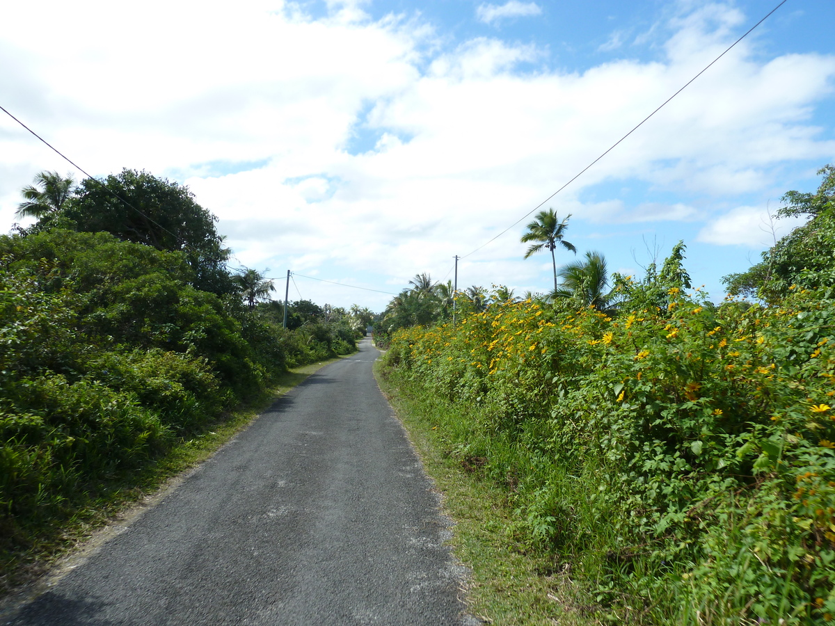 รูปถ่าย นิวแคลิโดเนีย(New Caledonia) เกาะลีฟู(Lifou) 2010-05 5