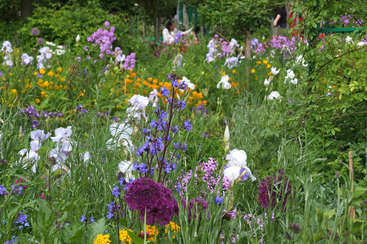รูปถ่าย ฝรั่งเศส(France) ฌีแวร์นี(Giverny) 2013-06 253