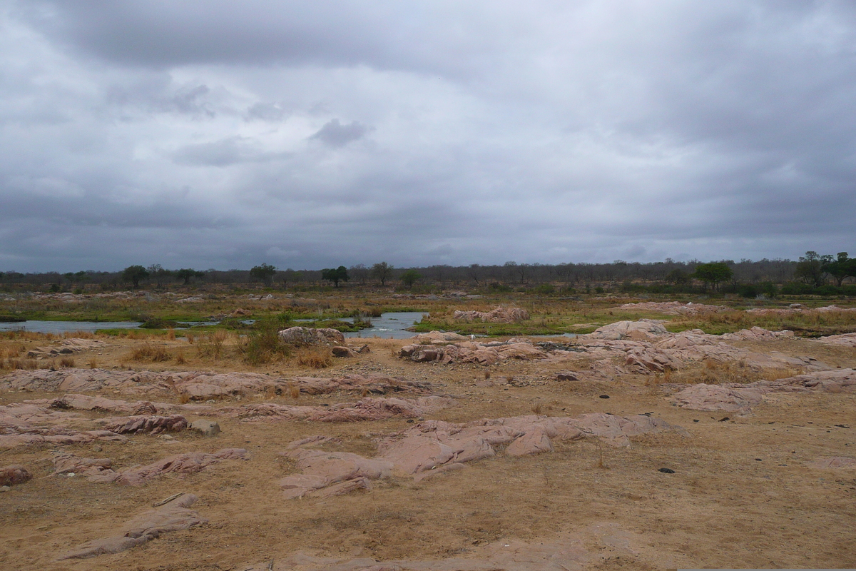 รูปถ่าย แอฟริกาใต้(South Africa) อุทยานแห่งชาติครูเกอร์(Kruger National Park) แม่น้ำครอกโคไดล์(Crocodile River) 2008-09 49