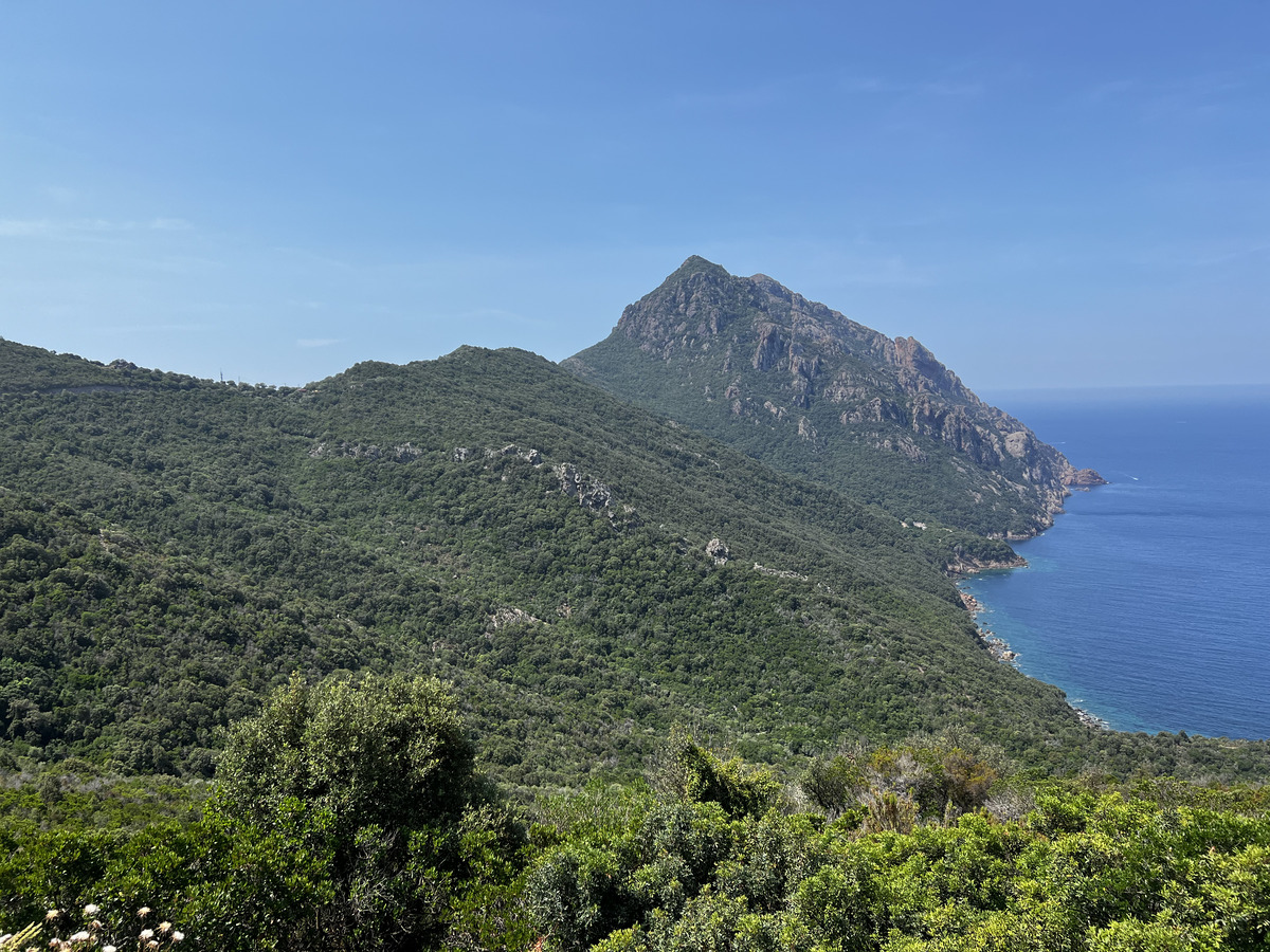 รูปถ่าย ฝรั่งเศส(France) คอร์สิคา(Corsica) โอซานี(Osani) 2023-06 5