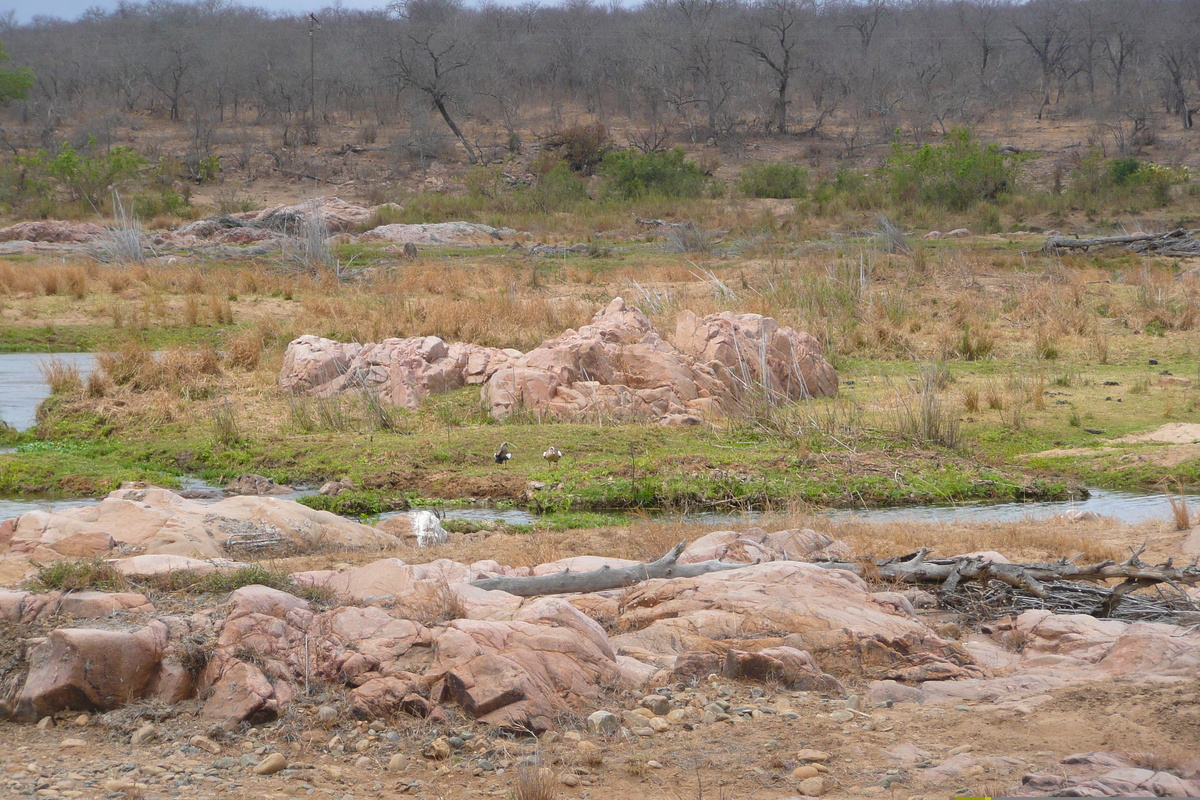 รูปถ่าย แอฟริกาใต้(South Africa) อุทยานแห่งชาติครูเกอร์(Kruger National Park) แม่น้ำครอกโคไดล์(Crocodile River) 2008-09 52