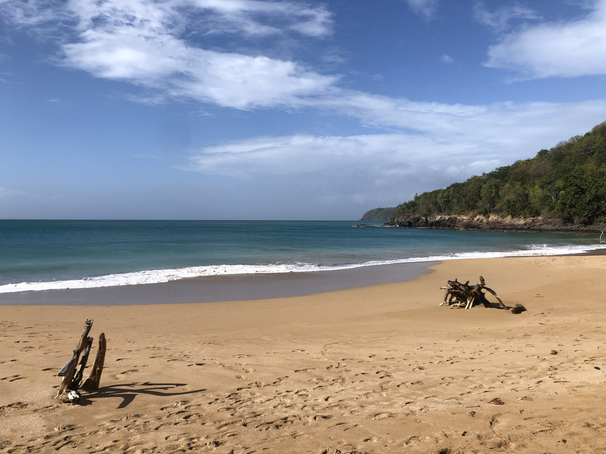 รูปถ่าย กวาเดอลูป(Guadeloupe) หาดลาแปร์ล(La Perle Beach) 2021-02 15