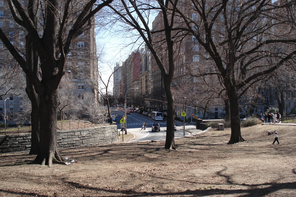 รูปถ่าย สหรัฐอเมริกา(United States) นิวยอร์ก(New York) เซ็นทรัลพาร์ก(Central Park) 2006-03 3