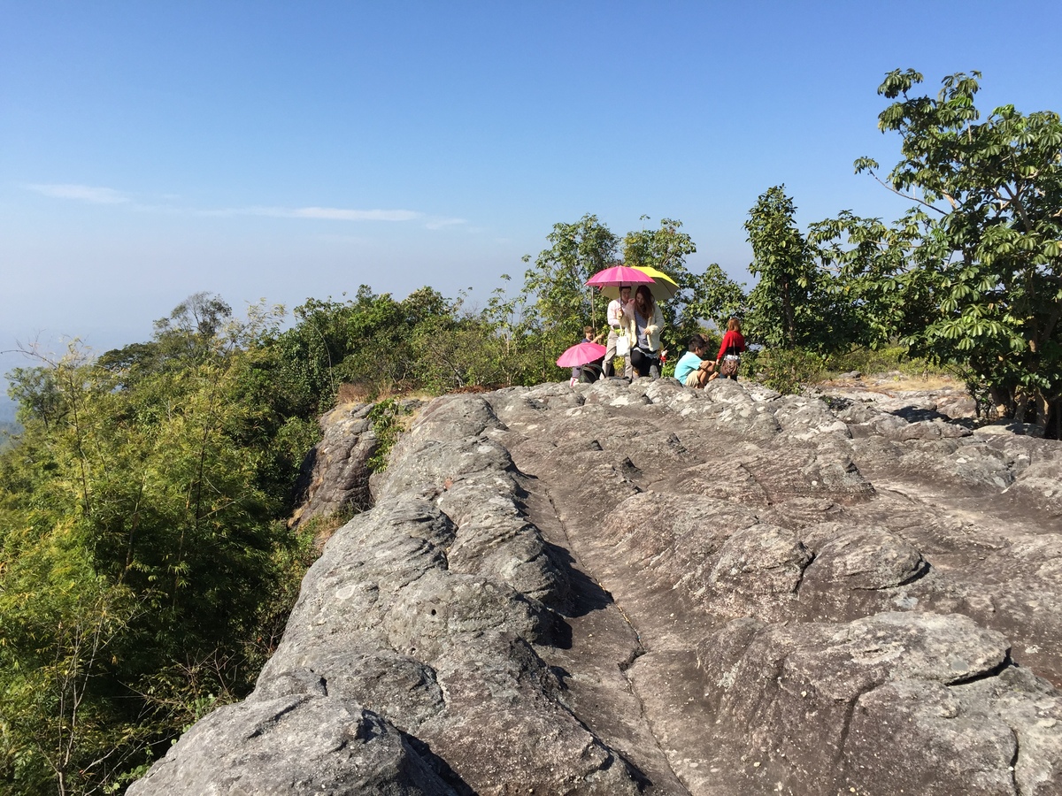 รูปถ่าย ไทย(Thailand) อุทยานแห่งชาติภูหินร่องกล้า(Phu Hin Rong Kla National Park) 2014-12 149