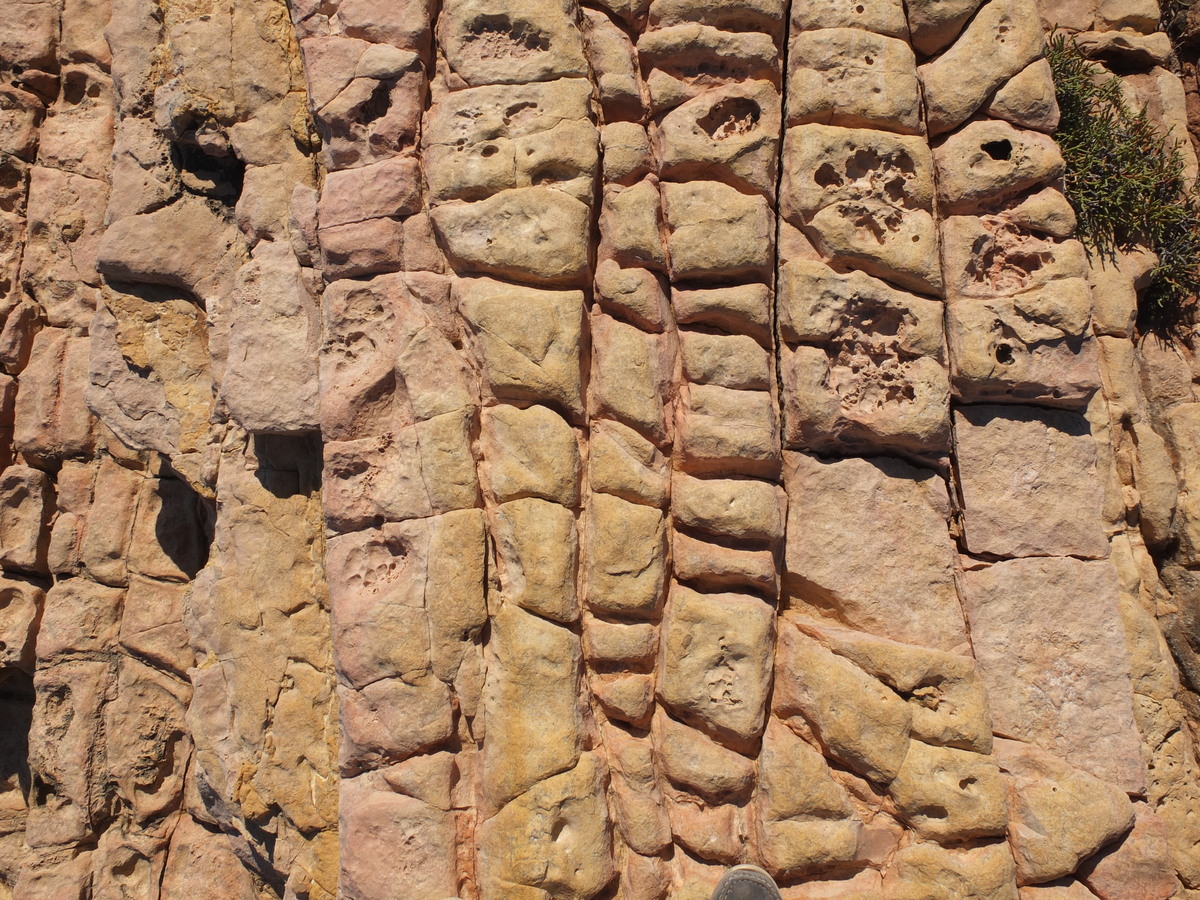 รูปถ่าย กรีก(Greece) เกาะคูโฟนิสเซีย(Koufonissia) 2014-07 349