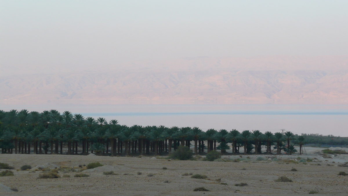 รูปถ่าย อิสราเอล(Israel) ทะเลดำ(Dead Sea) 2007-06 91
