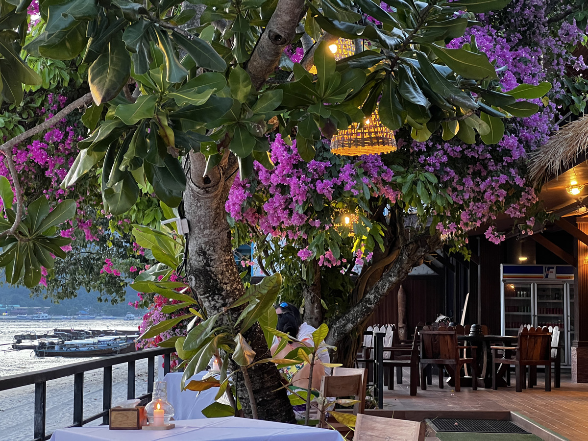 รูปถ่าย ไทย(Thailand) เกาะพีพีดอน(Ko Phi Phi Don) 2021-12 17
