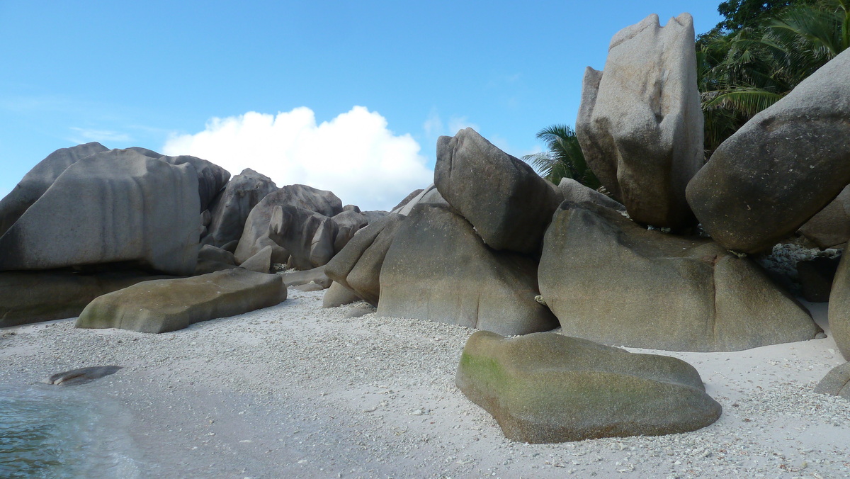 รูปถ่าย เซเชลส์(Seychelles) เกาะโกโก้(Coco Island) 2011-10 36