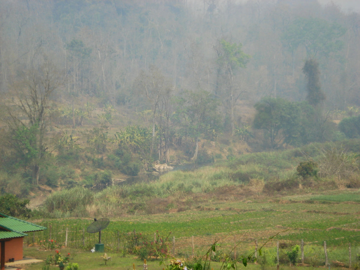 รูปถ่าย ไทย(Thailand) ปางมะผ้า(Pang Mapha) 2007-02 5