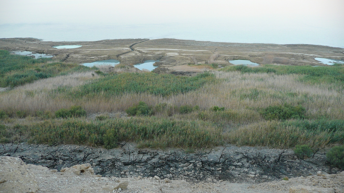 รูปถ่าย อิสราเอล(Israel) ทะเลดำ(Dead Sea) 2007-06 61