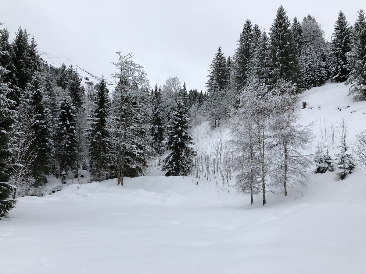 รูปถ่าย ฝรั่งเศส(France) ลากลูซา(La Clusaz) 2017-12 296