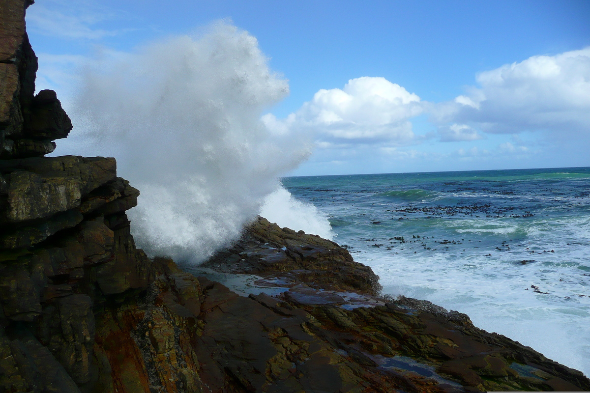 รูปถ่าย แอฟริกาใต้(South Africa) แหลมกู๊ดโฮป(Cape of Good Hope) แหลมเคปพอยต์(Cape Point) 2008-09 32