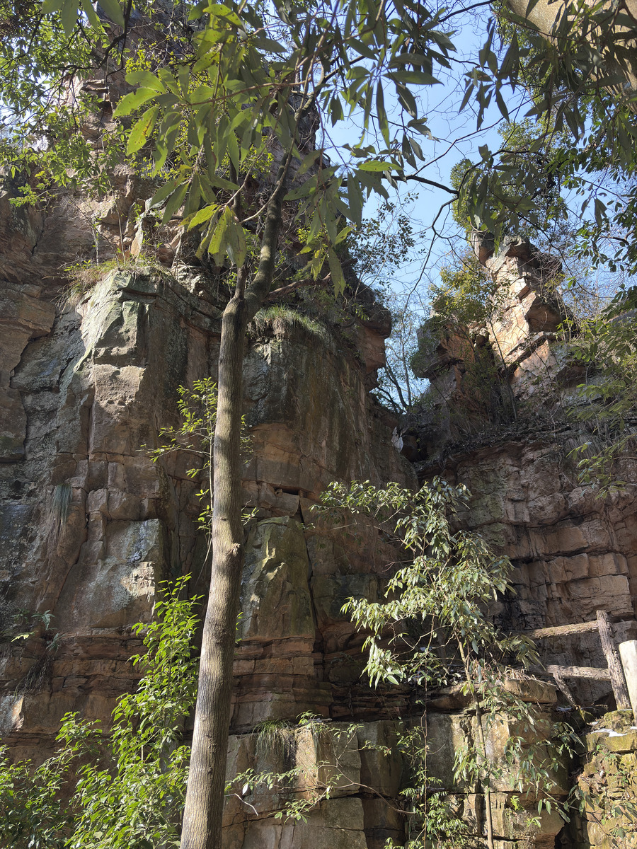 รูปถ่าย จีน(China) จางเจียเจี้ย(Zhangjiajie) ภูเขาเทียนจื่อ(Tianzi Mountain) 2026-01 241