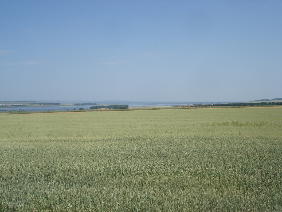 รูปถ่าย รัสเซีย(Russia) จากอูฟาไปคาซาน(From Ufa to Kazan) 2006-07 74