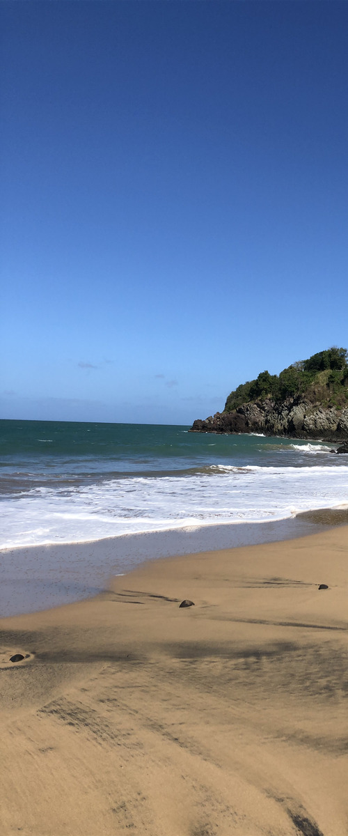 รูปถ่าย กวาเดอลูป(Guadeloupe) ป้อมรอยัล(Fort Royal) 2021-02 14
