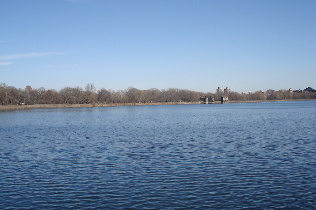 รูปถ่าย สหรัฐอเมริกา(United States) นิวยอร์ก(New York) เซ็นทรัลพาร์ก(Central Park) 2006-03 78