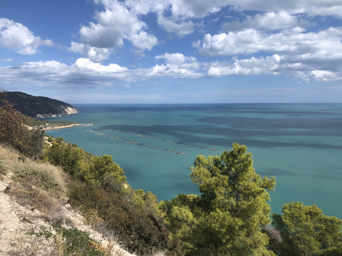 รูปถ่าย อิตาลี(Italy) การ์กาโน(Gargano) 2024-09 20