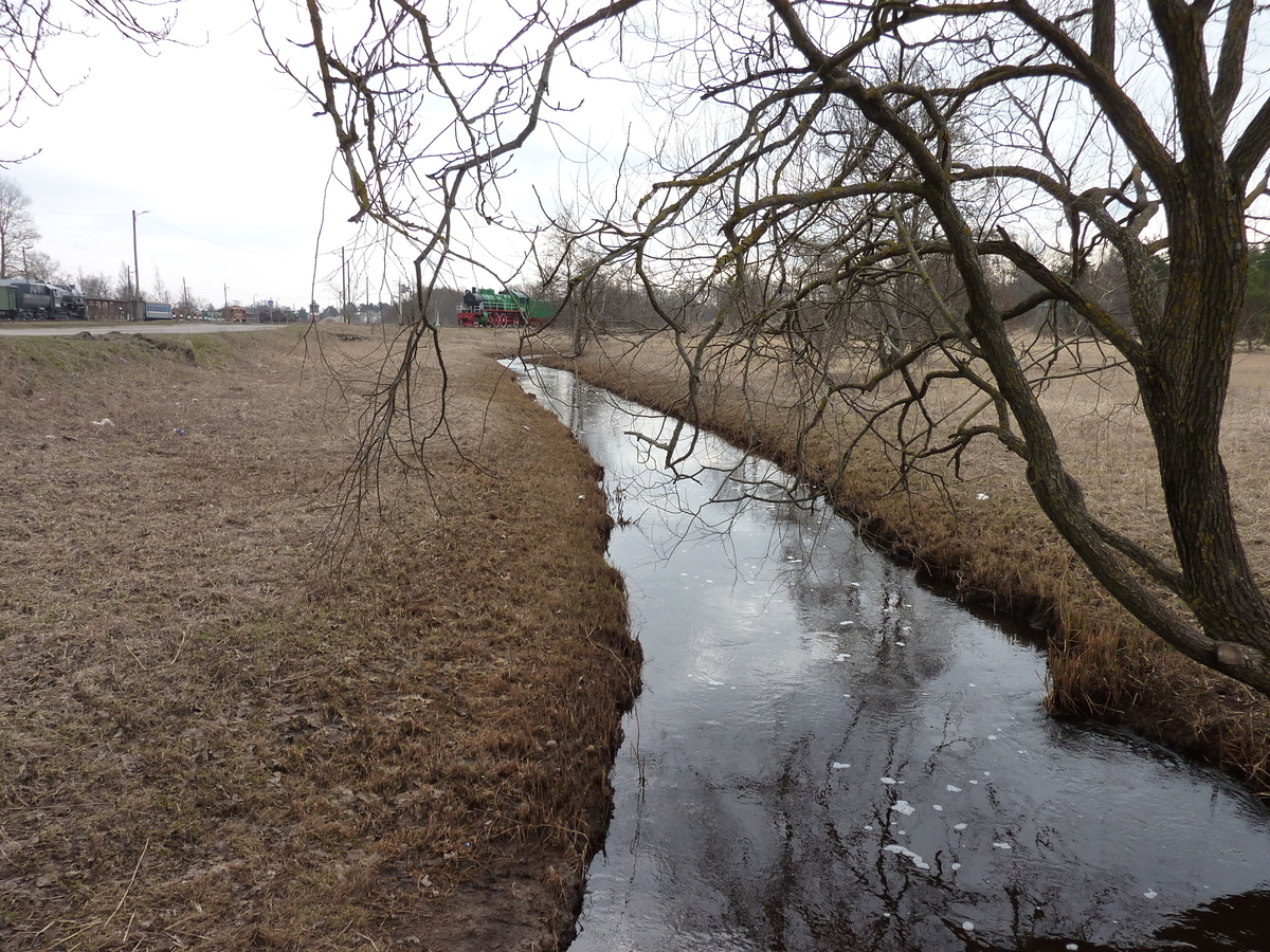 รูปถ่าย เอสโตเนีย(Estonia) ฮาปซาลู(Haapsalu) 2009-04 52
