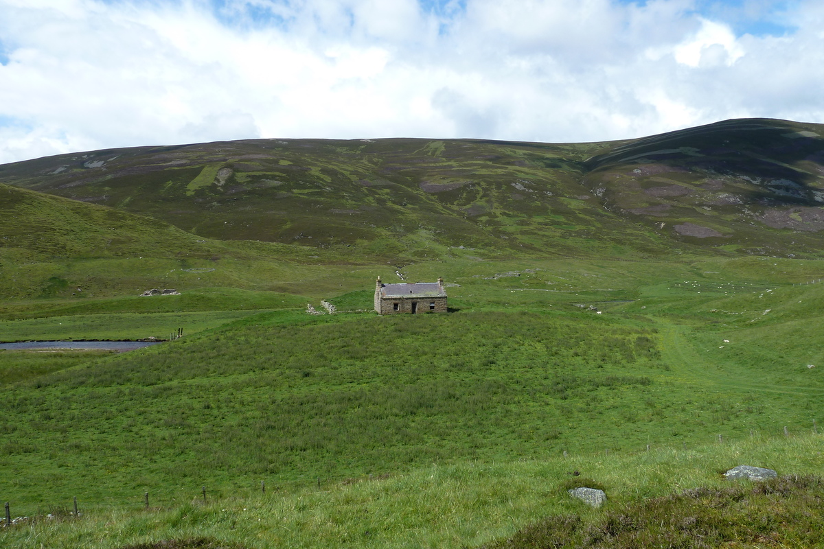 รูปถ่าย อังกฤษ(United Kingdom) อุทยานแห่งชาติแคร์นกอร์มส์(Cairngorms National Park) 2011-07 40