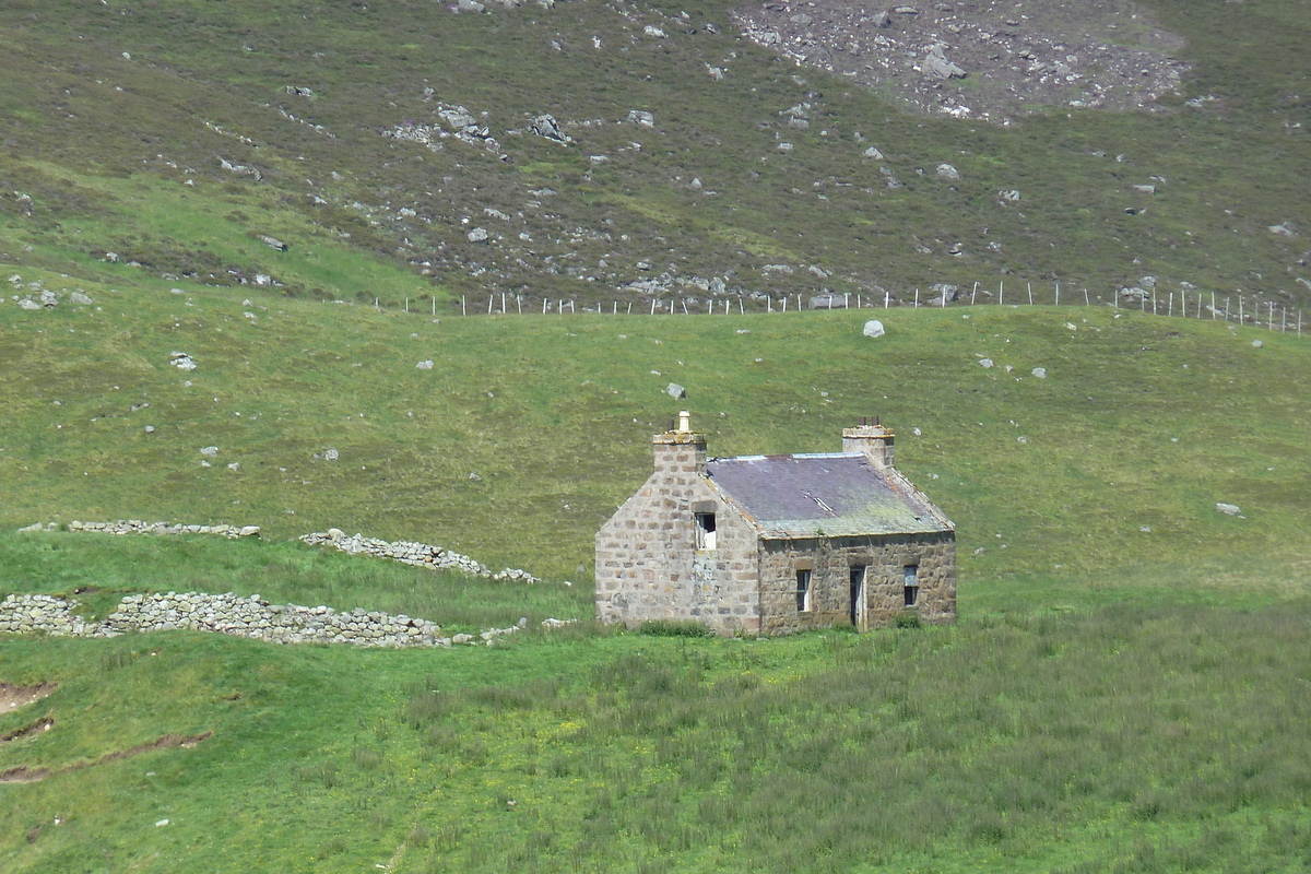รูปถ่าย อังกฤษ(United Kingdom) อุทยานแห่งชาติแคร์นกอร์มส์(Cairngorms National Park) 2011-07 59
