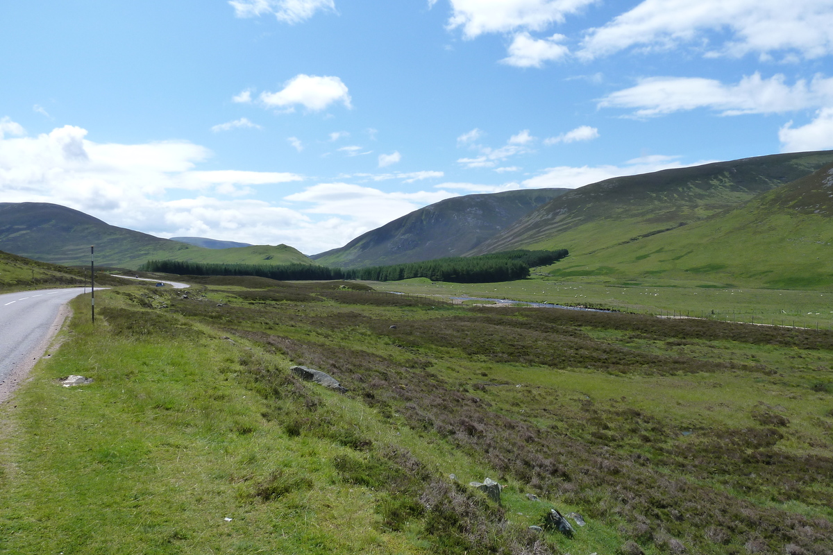 รูปถ่าย อังกฤษ(United Kingdom) อุทยานแห่งชาติแคร์นกอร์มส์(Cairngorms National Park) 2011-07 60