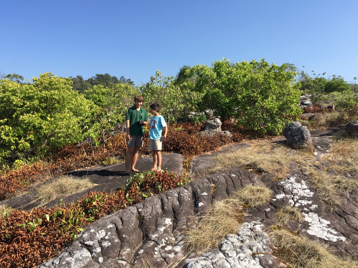 รูปถ่าย ไทย(Thailand) อุทยานแห่งชาติภูหินร่องกล้า(Phu Hin Rong Kla National Park) 2014-12 237