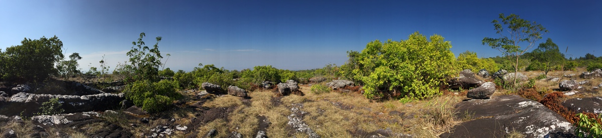รูปถ่าย ไทย(Thailand) อุทยานแห่งชาติภูหินร่องกล้า(Phu Hin Rong Kla National Park) 2014-12 284