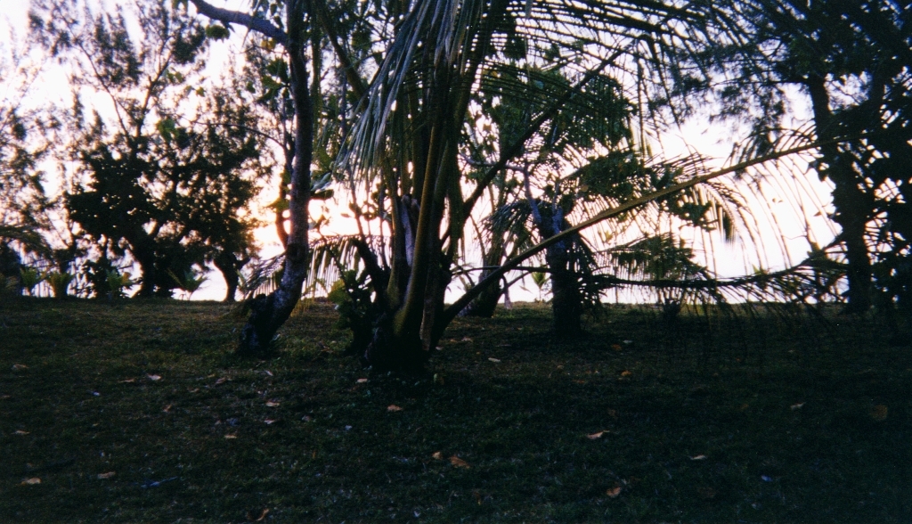 รูปถ่าย มาดากัสการ์(Madagascar) เกาะแซ็งต์-มารี(Sainte Marie) 1999-10 8