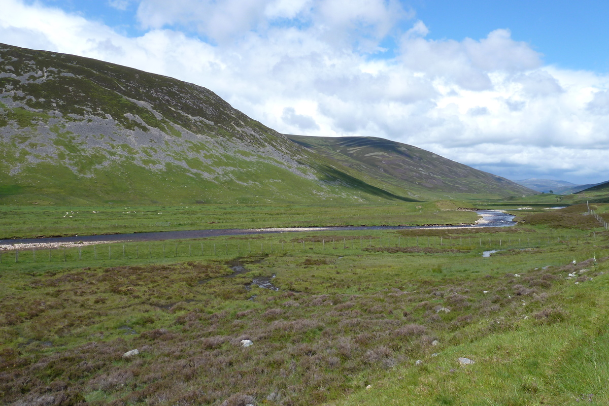 รูปถ่าย อังกฤษ(United Kingdom) อุทยานแห่งชาติแคร์นกอร์มส์(Cairngorms National Park) 2011-07 98