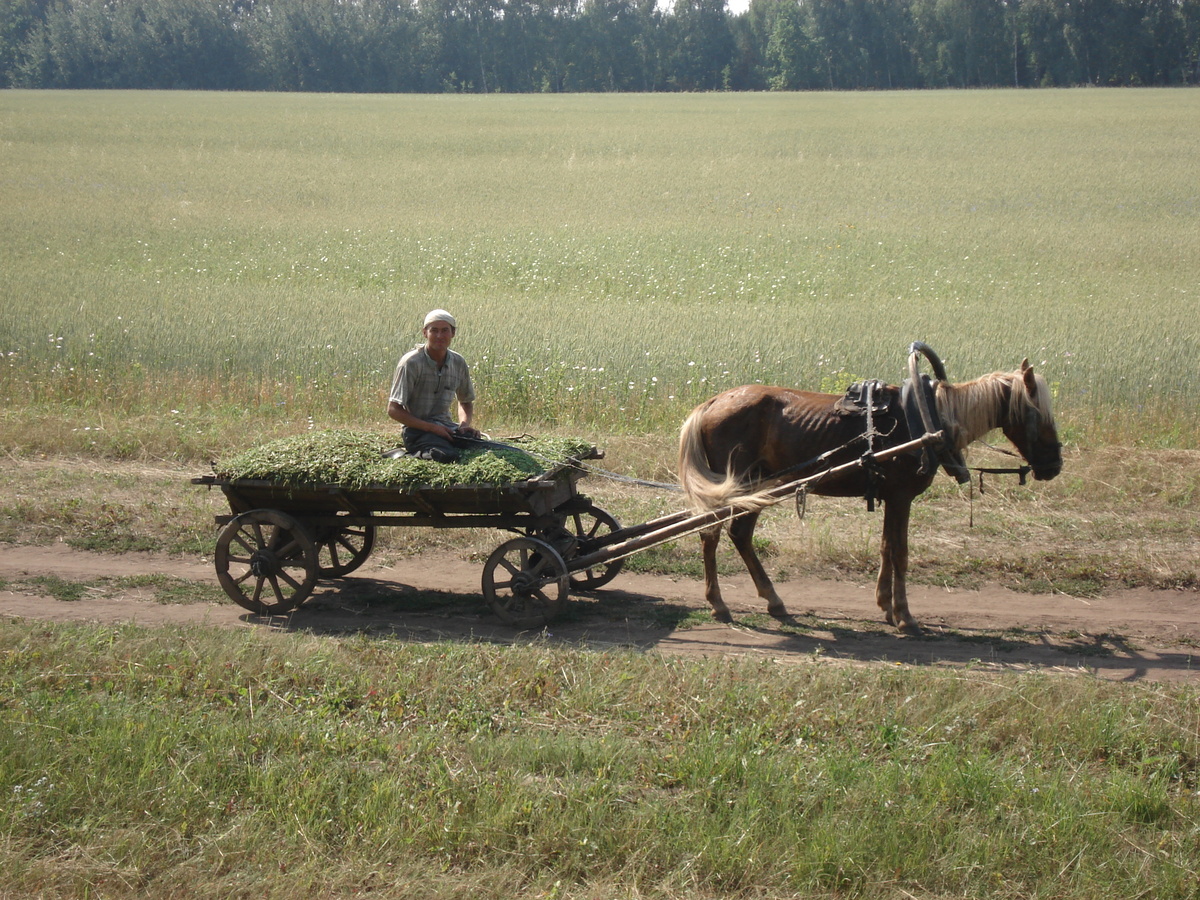 รูปถ่าย รัสเซีย(Russia) จากอูฟาไปคาซาน(From Ufa to Kazan) 2006-07 49