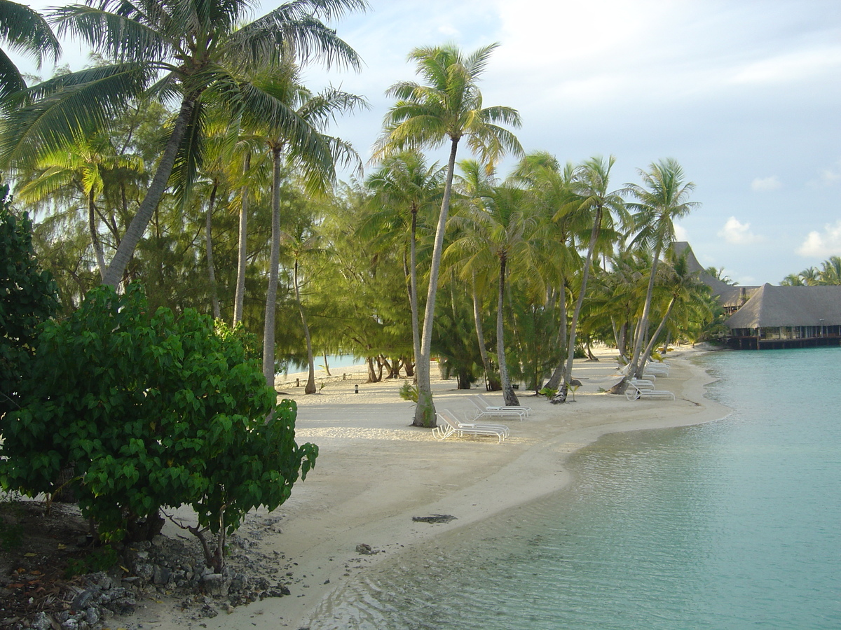 รูปถ่าย เฟรนช์โพลี่นีเซีย(Polynesia) โรงแรมเลอเมอริเดียน โบราโบรา(Meridien Bora Bora Hotel) 2006-04 65