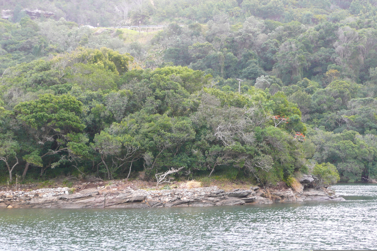 รูปถ่าย แอฟริกาใต้(South Africa) ถนนจากเฮอร์มานัสไปไนส์นา(Harmanus to Knysna road) 2008-09 148