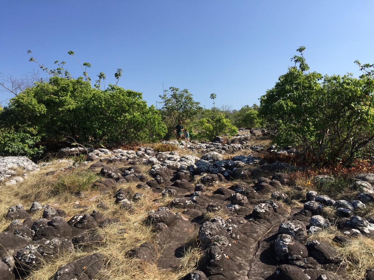 รูปถ่าย ไทย(Thailand) อุทยานแห่งชาติภูหินร่องกล้า(Phu Hin Rong Kla National Park) 2014-12 41