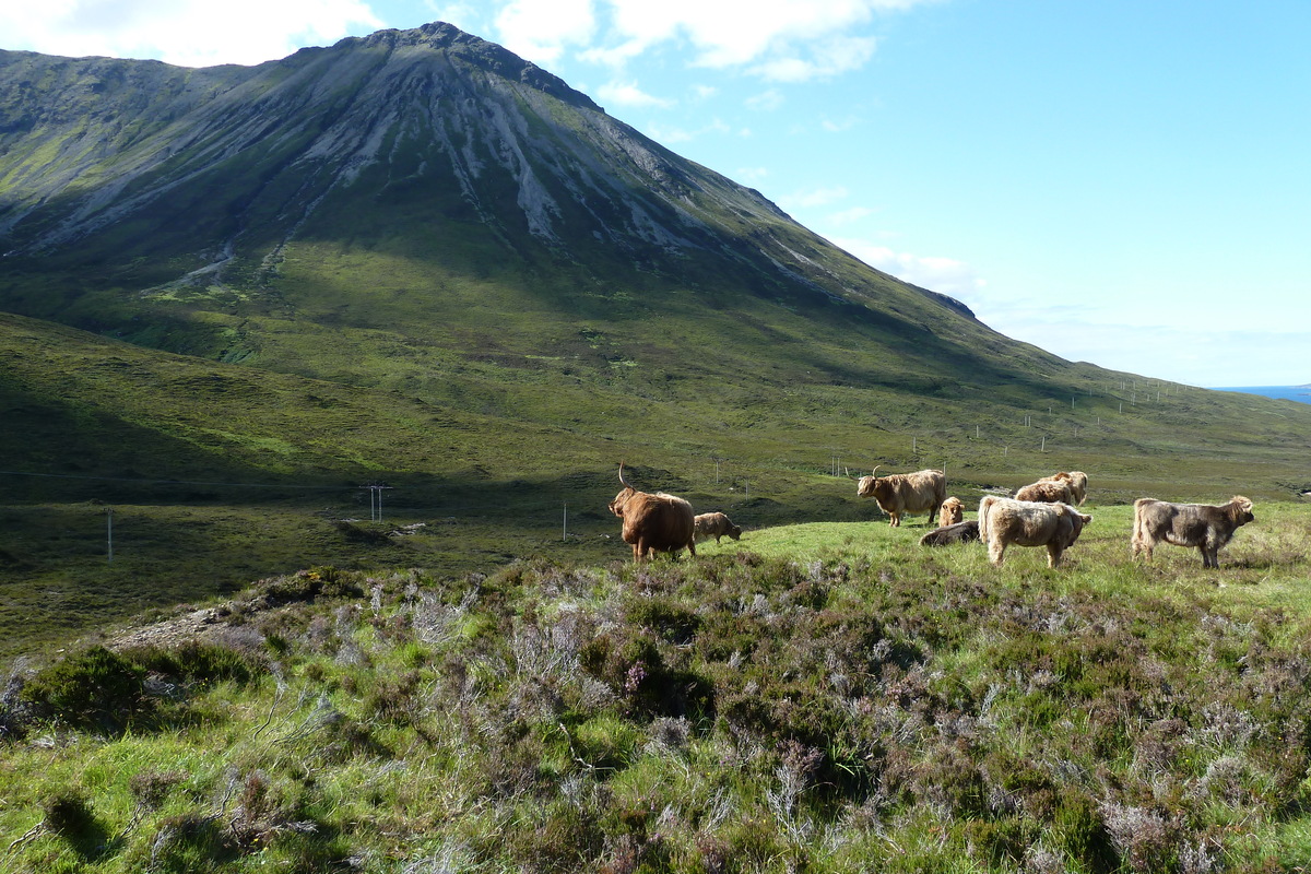 รูปถ่าย อังกฤษ(United Kingdom) เกาะสกาย(Skye) เทือกเขาคูลิน(The Cuillin) 2011-07 76