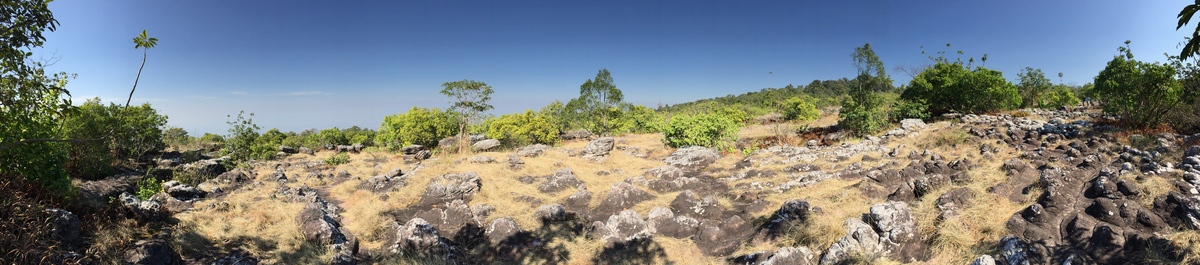 รูปถ่าย ไทย(Thailand) อุทยานแห่งชาติภูหินร่องกล้า(Phu Hin Rong Kla National Park) 2014-12 416