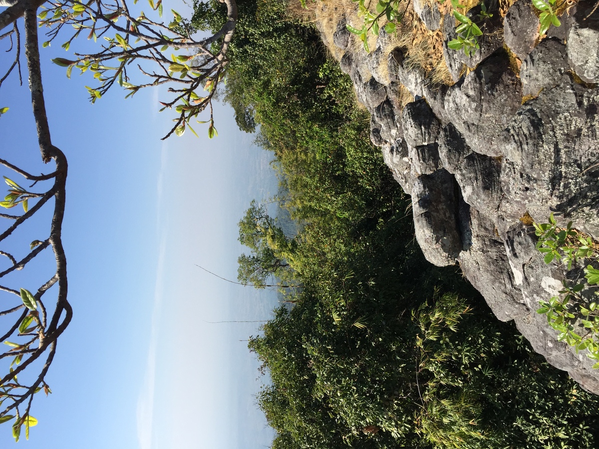 รูปถ่าย ไทย(Thailand) อุทยานแห่งชาติภูหินร่องกล้า(Phu Hin Rong Kla National Park) 2014-12 348