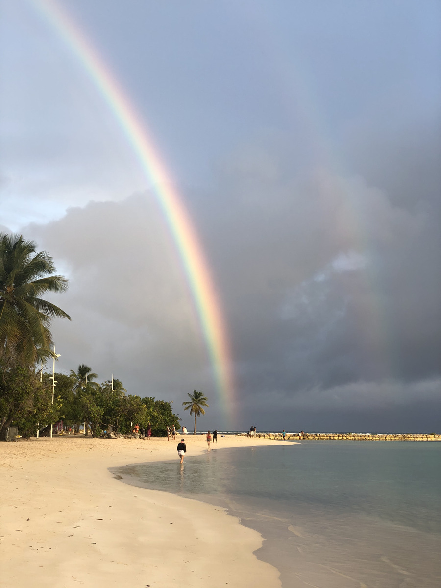 รูปถ่าย กวาเดอลูป(Guadeloupe) แซ็งตาน(Sainte Anne) 2021-02 75