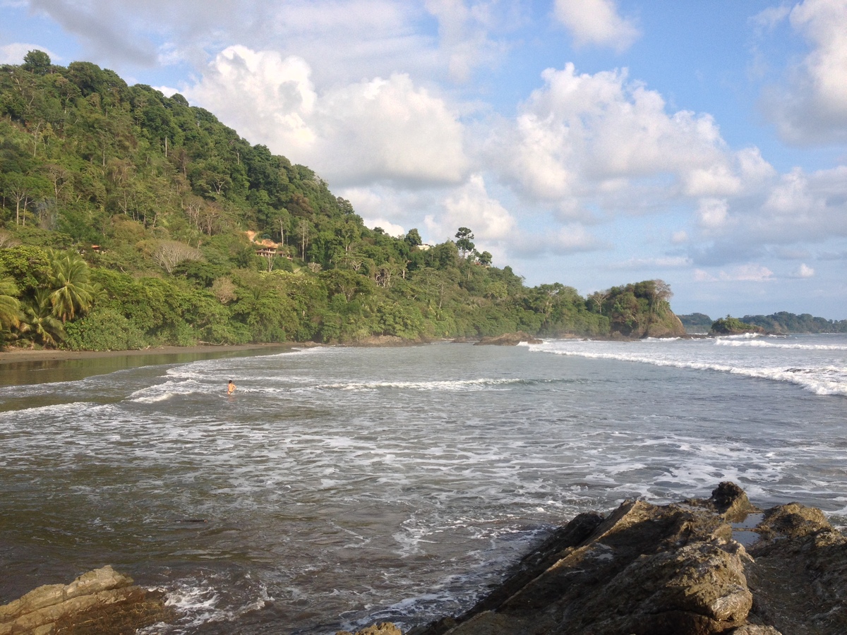 รูปถ่าย คอสตาริกา(Costa Rica) โดมินิกัล(Dominical) 2015-03 116