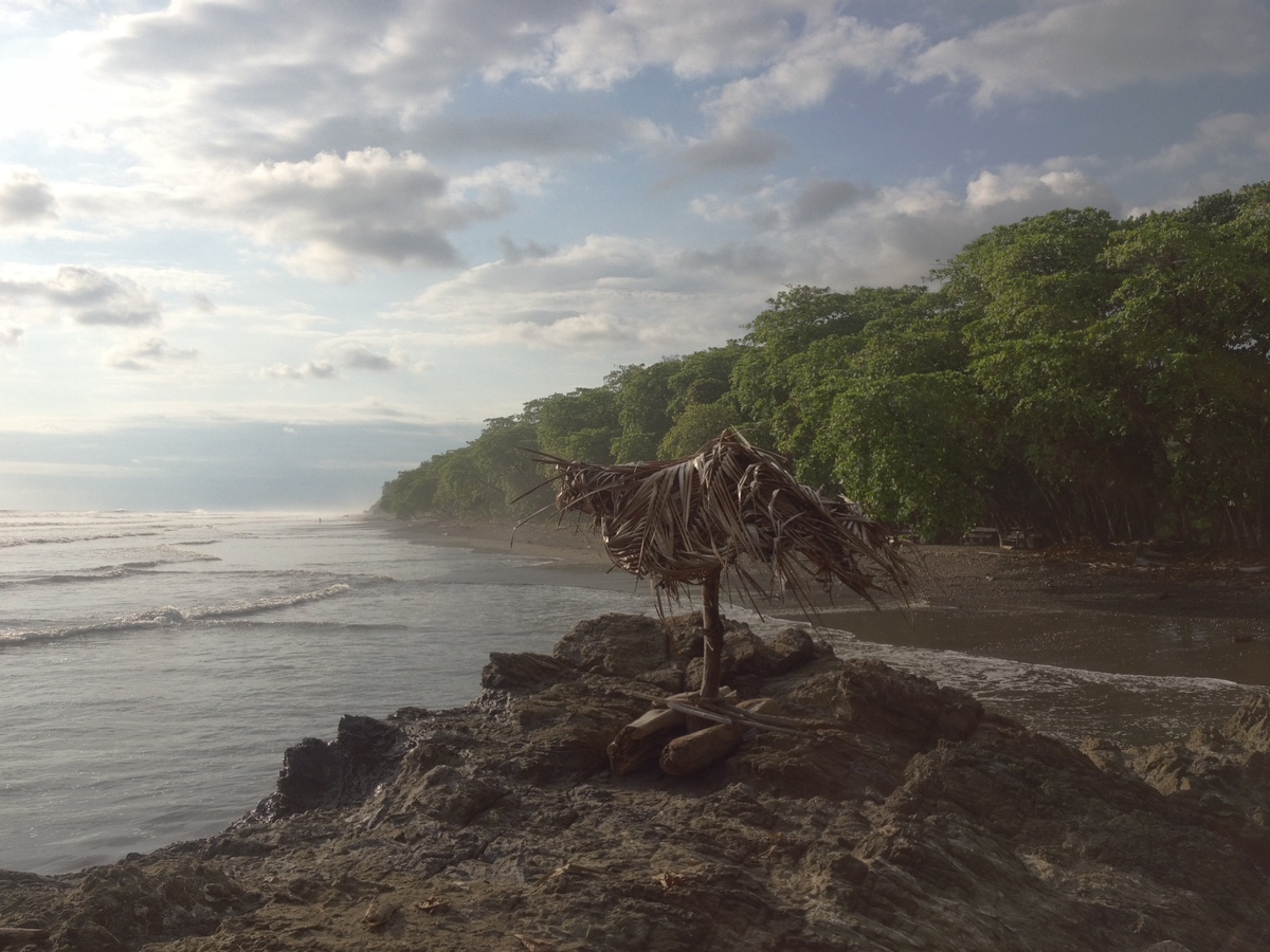 รูปถ่าย คอสตาริกา(Costa Rica) โดมินิกัล(Dominical) 2015-03 47