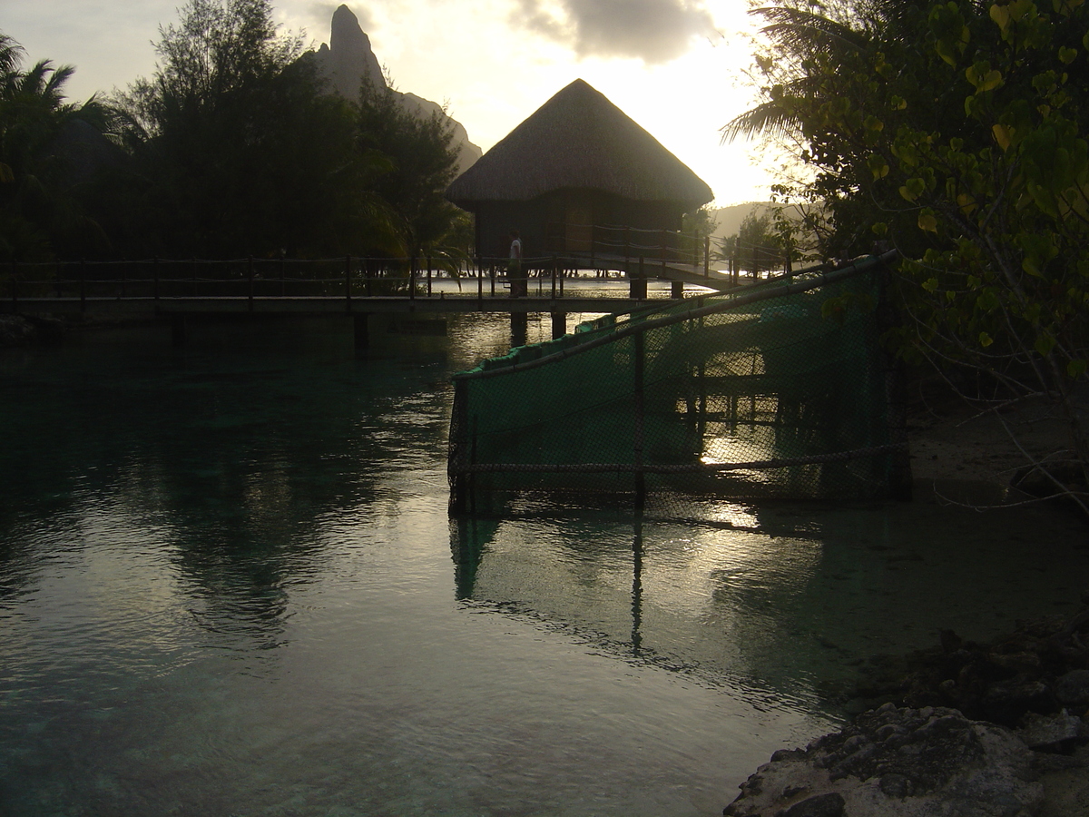 รูปถ่าย เฟรนช์โพลี่นีเซีย(Polynesia) โรงแรมเลอเมอริเดียน โบราโบรา(Meridien Bora Bora Hotel) 2006-04 246